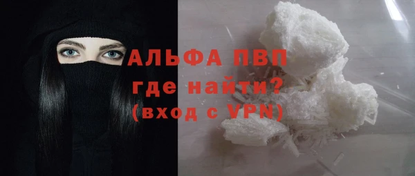гидра Киренск